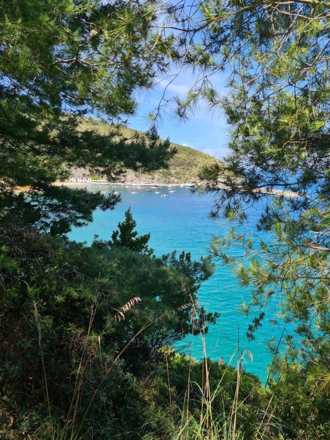 B&B La Marinella Palinuro Eksteriør billede